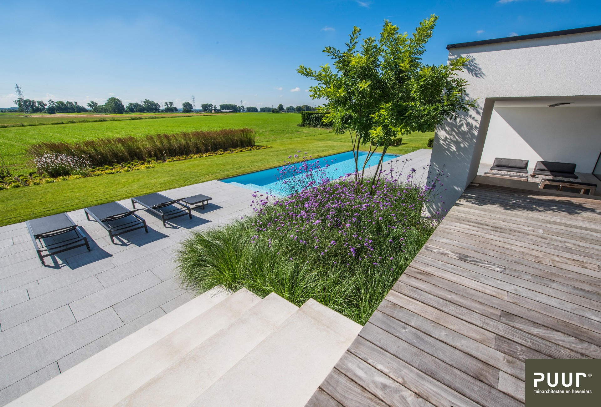 Zwembad bij moderne villa in Liempde - Tuinarchitect, tuinontwerp en tuinaanleg - Puur Groen